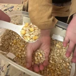 asd sensory bin sensory bin